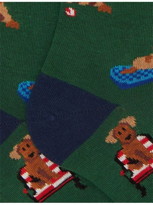 AP51628514777 FANTASIA gallo | AP51628514777 FANTASIA